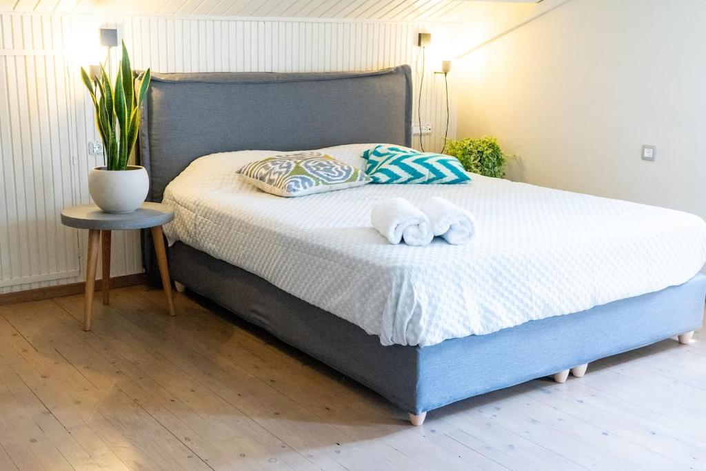 Anna Maria's, cozy studio in the heart of Fiscardo room 2